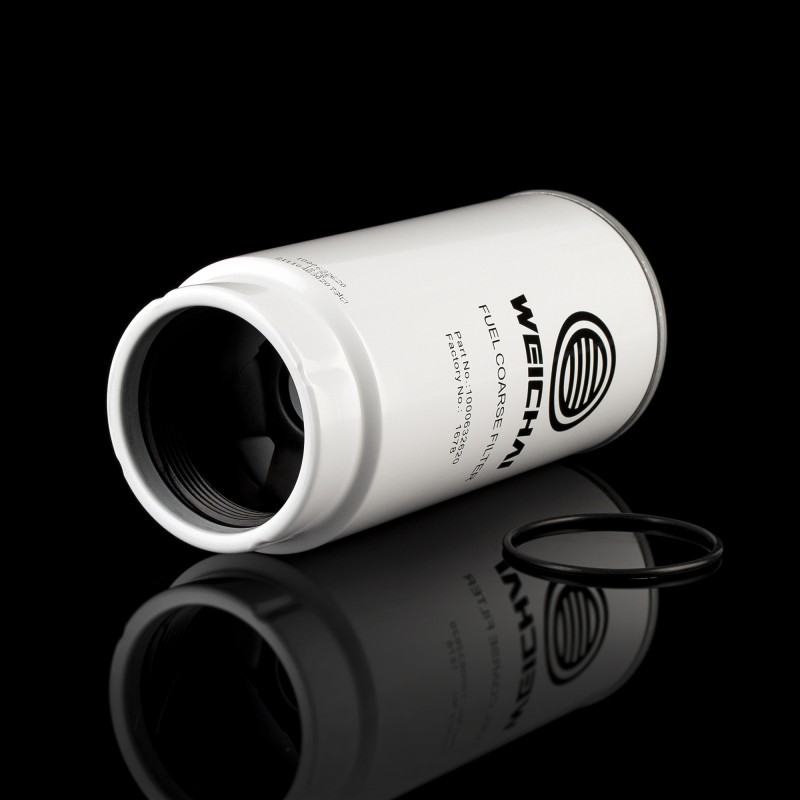 Фильтр топливный грубой очистки 1000495963