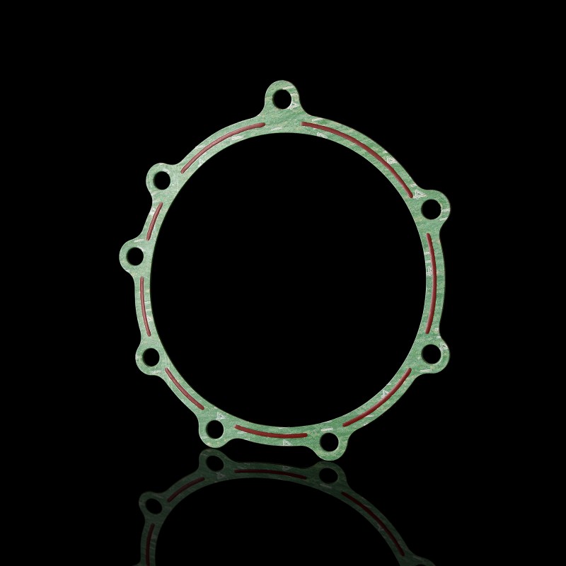 Прокладка крышки насоса E2800-1002206