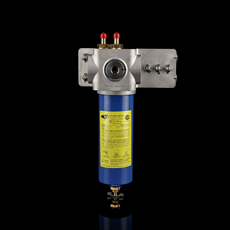 Фильтр газовый низкого давления в сборе 